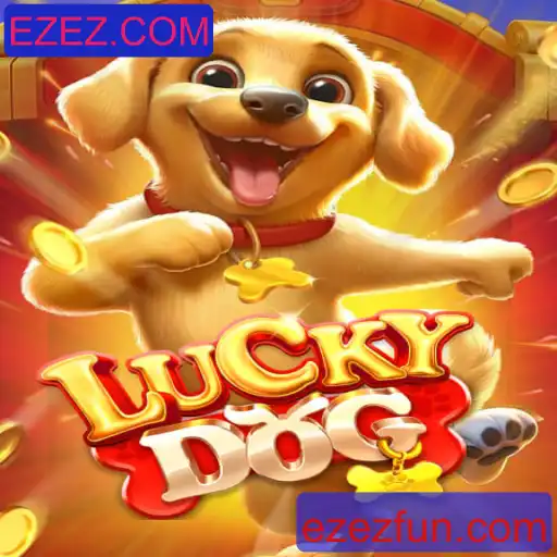 LuckyDog: Descubra Como Jogar e Se Divertir com as Regras Atualizadas